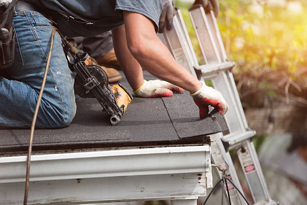 Best Roof Gutter Cleaning  in Plano, IL